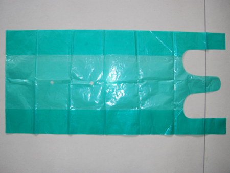 彩色蔬(shū)菜手提(ti)袋