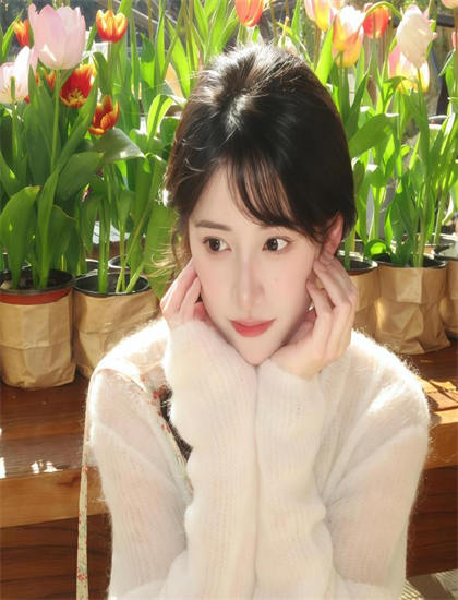 发现《里普哈根》：未被注意的细节与意义